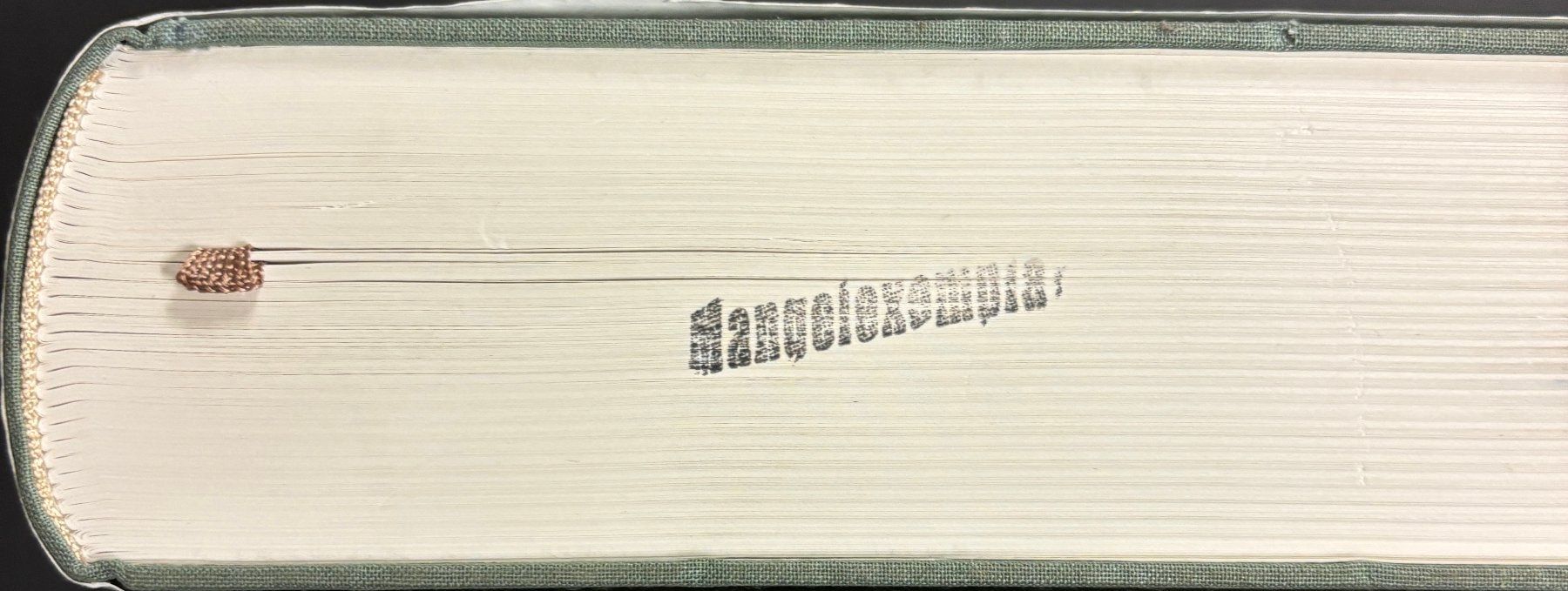 Libri: Brehm Alfred E., Brehms Tierleben - Die schönsten Tiergeschi – Usato da Sarnen venduto da Livres 7
