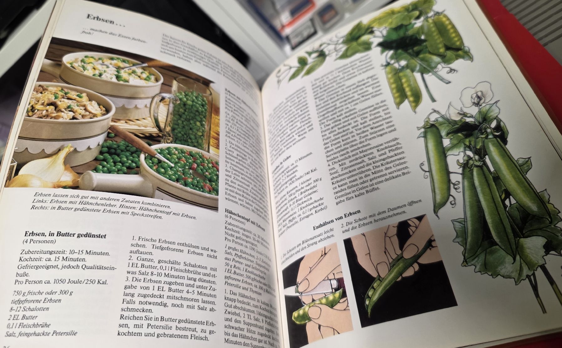 Libri: Gemüse - Ratgeber & Rezepte (BUCH) – Usato da Reinach BL venduto da _MasterK_ 4