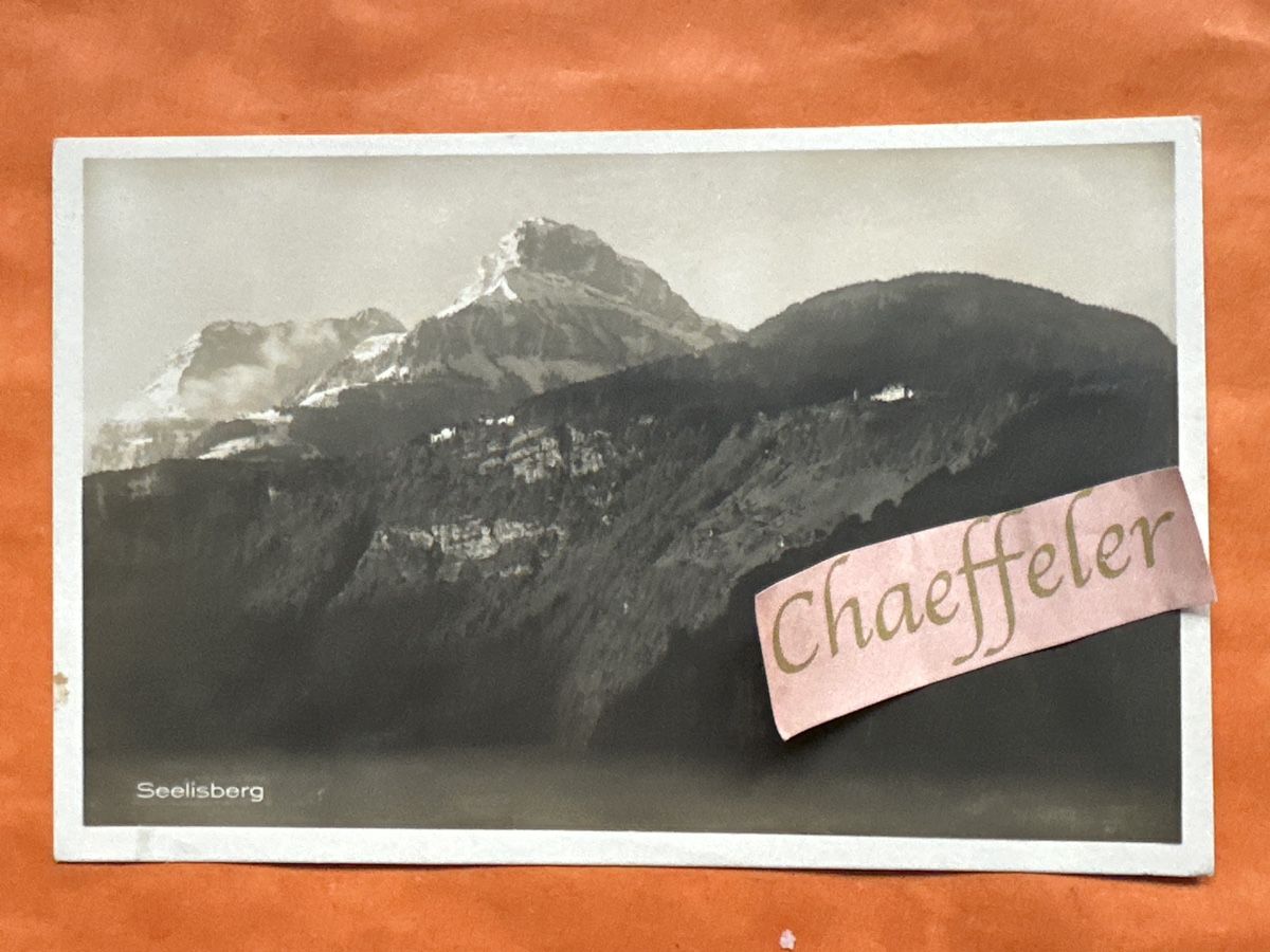 Cartoline postali: 1916 Seelisberg, Schweiz – Usato da Zürich venduto da Chaeffeler