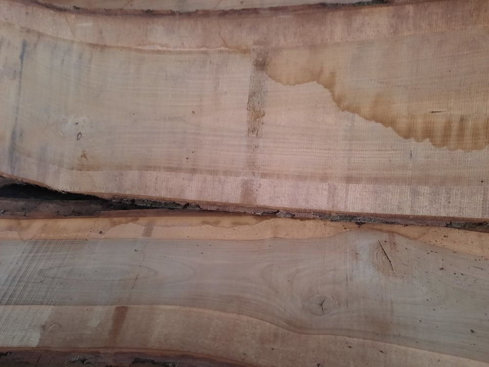 Articoli in legno: Nussbaum Klotzbretter-Stamm – Usato da Chur venduto da ivon68 1
