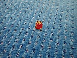 Pin Canadian Maple Leaf