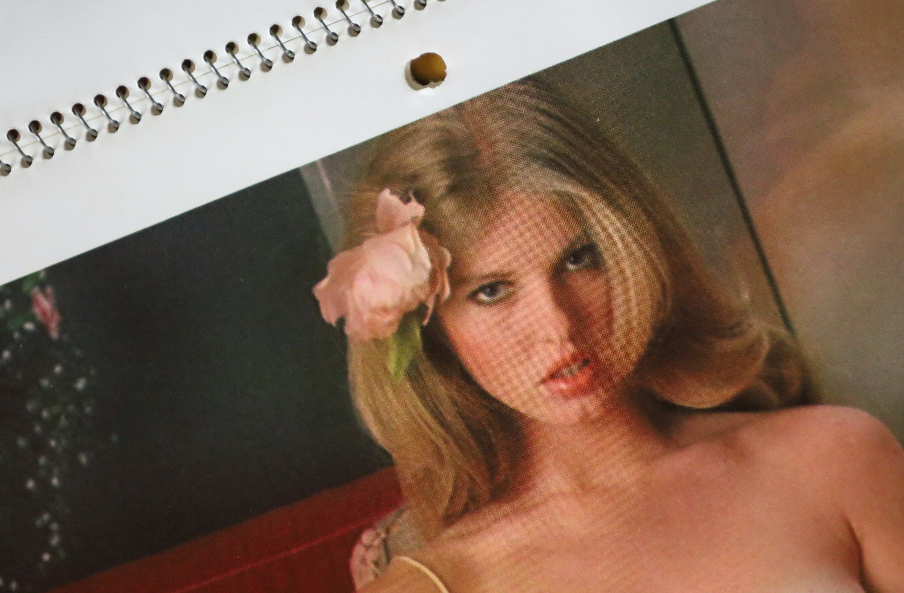 Playboy Calendari: PLAYBOY Kalender 1979 – Usato da Birrwil venduto da brandschatz_birrwil 4