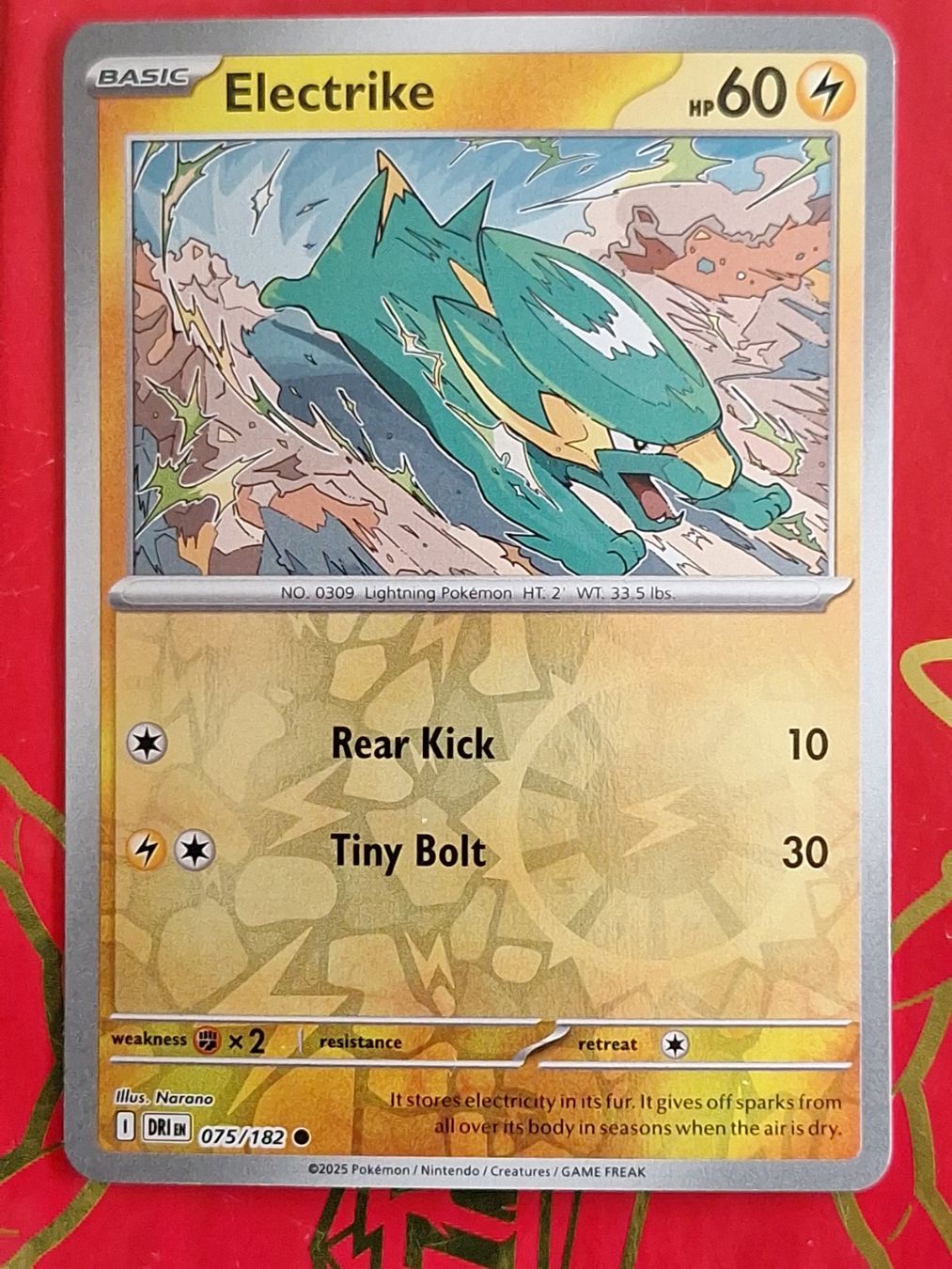 Pokémon Carte collezionabili: Electrike - Reverse Holo Pokemon Destined Rivals – Usato da Altstätten SG venduto da GGsGameshop