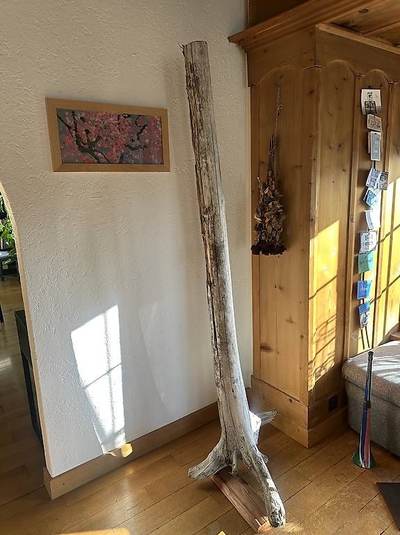 Articoli in legno: Holzstamm mit Wurzel / Kerzenständer – Usato da Bern venduto da MaenuS 1