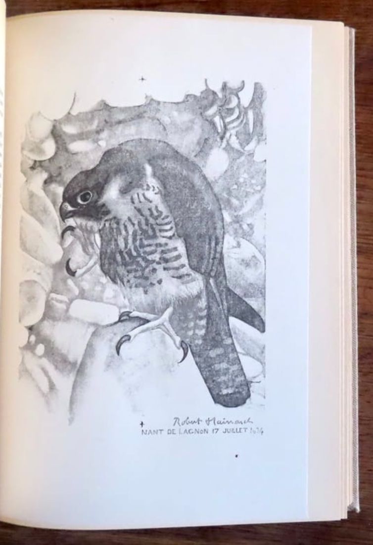 Bücher: Et la nature ? Réflexions d'un peintre. – Gebraucht aus Le Locle von LibrairieLaBergerie 2