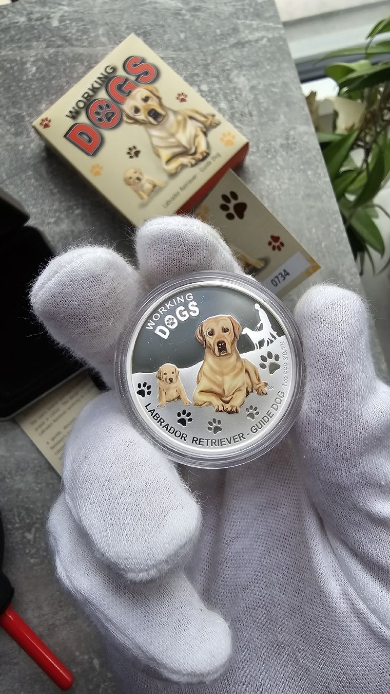 Tutti le monete: Working Dogs Labrador Guide Dog 1 oz Silver Proof Tuvalu – Usato da Petit-Lancy venduto da SilverCoinCoin 2