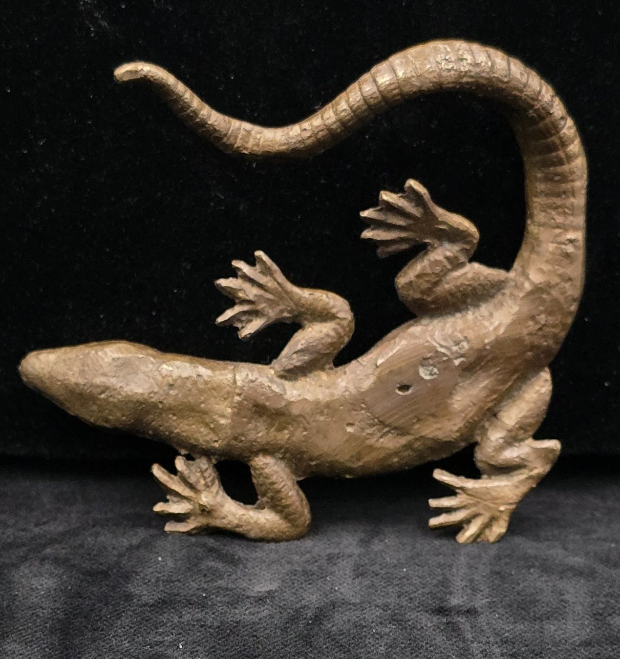 Sculture & Statue: Eidechse Bronze Skulptur – Usato da Rorschacherberg venduto da snOOpydOg11 6