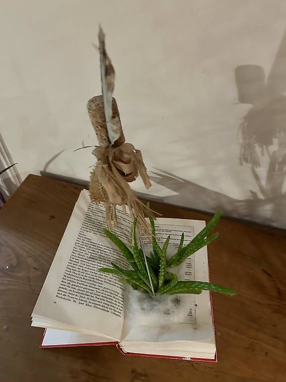 Libri: Aloe Vera im Buch – Usato da Frauenfeld venduto da Irene.Schuppli 3