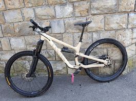 Canyon Spectral 29