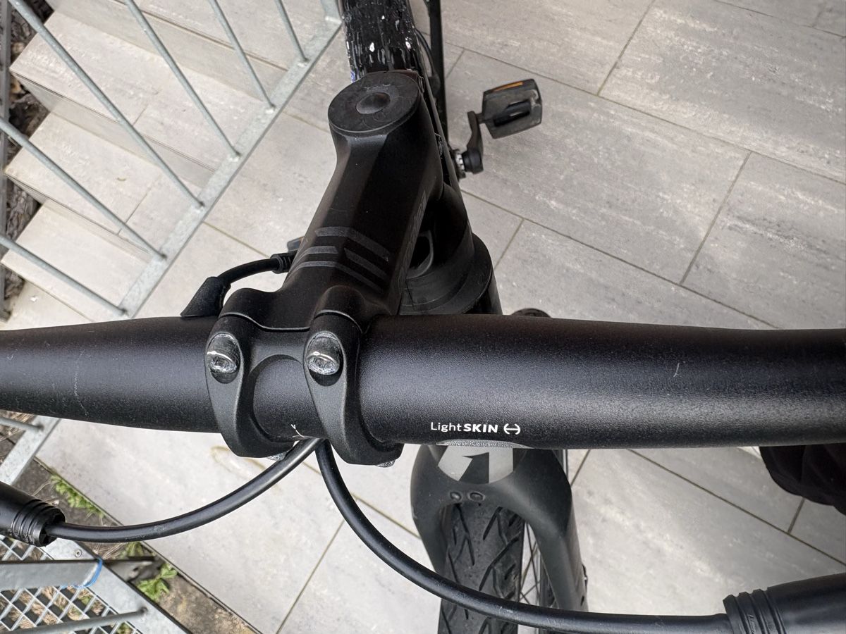 Rose Biciclette: Rose Sneak+ E-Bike 25km/h – Usato da Basel venduto da len_k98f 4