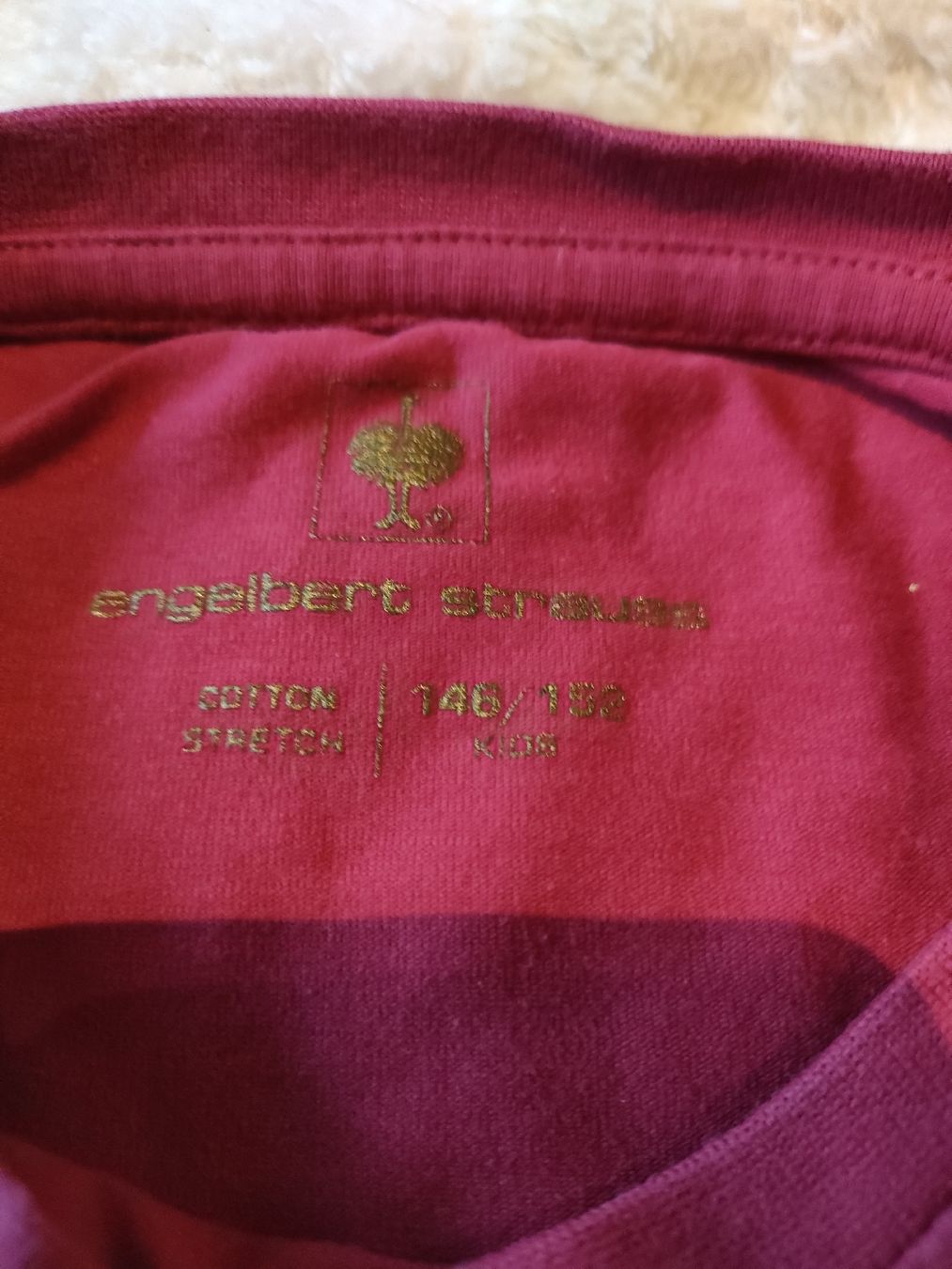 Engelbert Strauss Camicette, T-shirt & Top: Engelbert Strauss T'shirt – Usato da Scheunen venduto da klare2