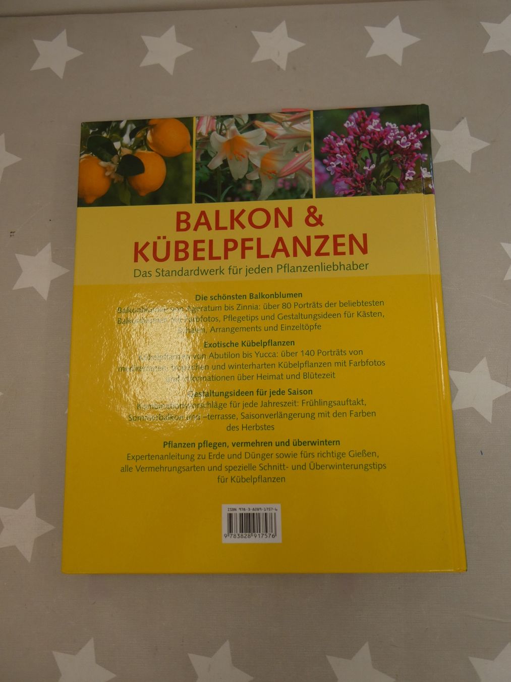 Libri: Buch: Balkon & Kübelpflanzen Halina Heitz – Usato da Rafz venduto da Powacaddy 1
