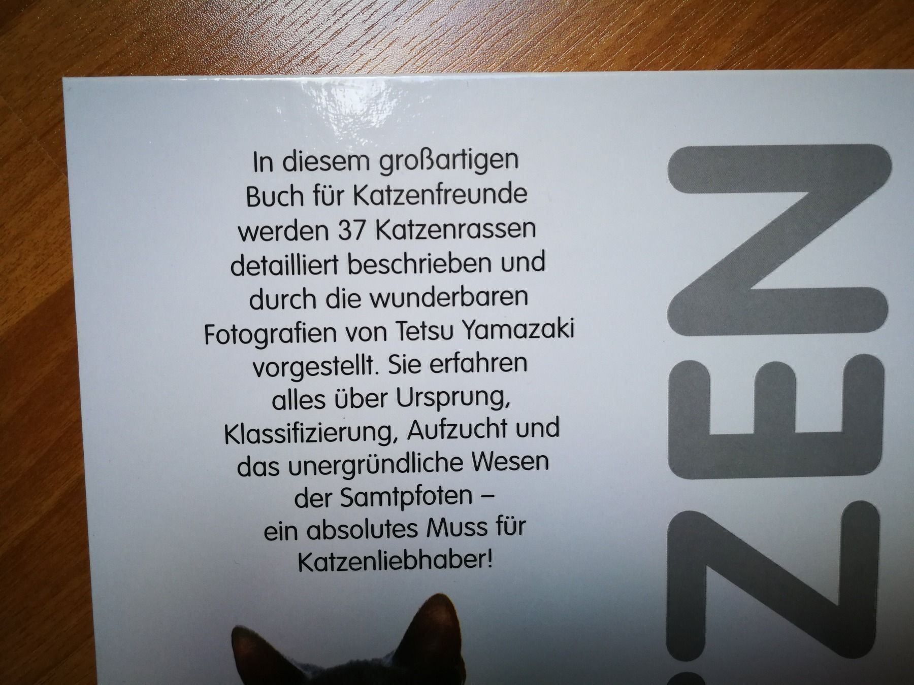 Livres: Katzenbücherset  4 - Teilig – D'occasion à Birrhard par Pry 7