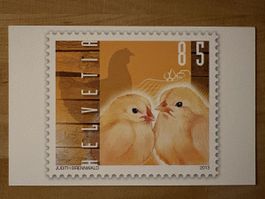 AK mit Tier Briefmarken Motiv von Judith Brennwald