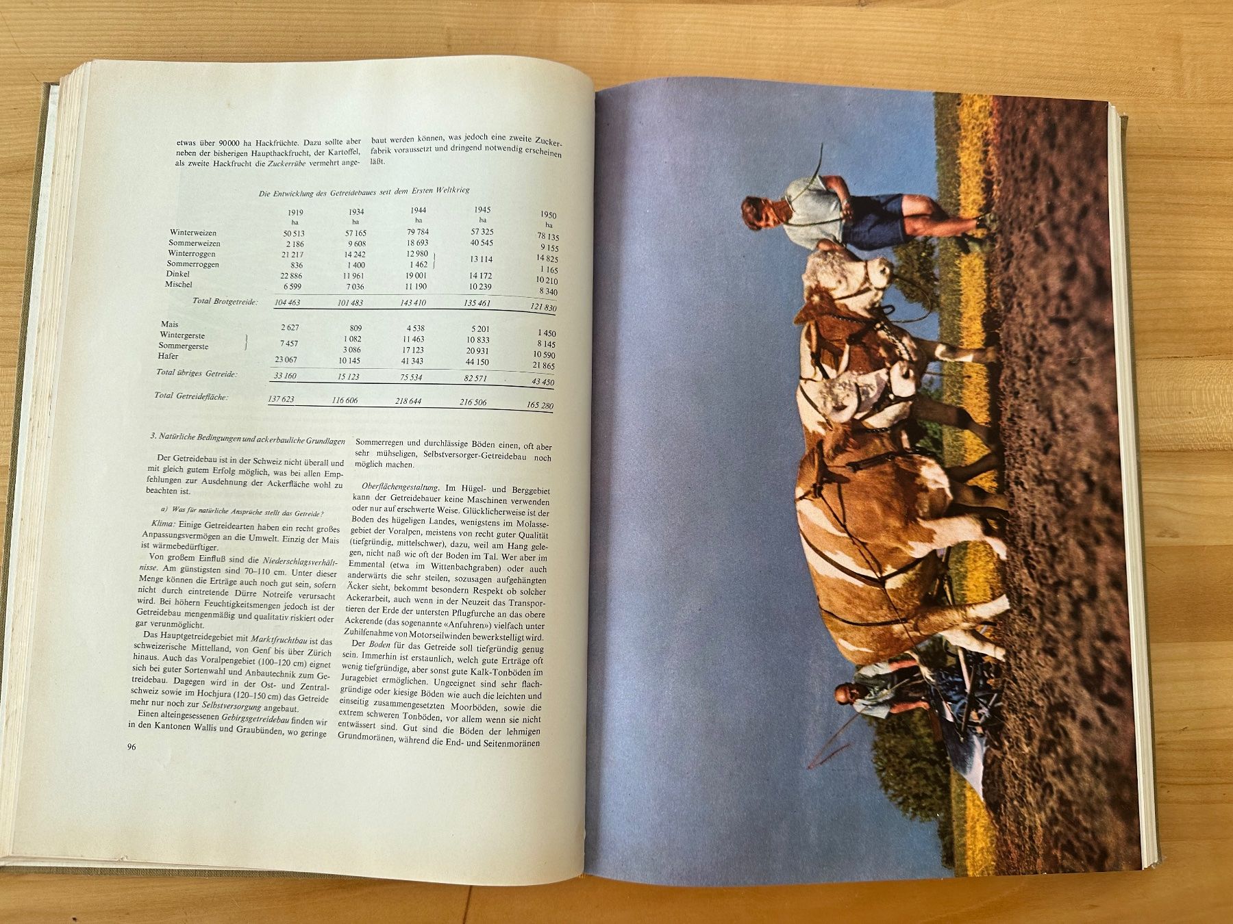 Libri: Das Buch vom Schweizer Brot – Usato da Zürich venduto da mirjamgg 1