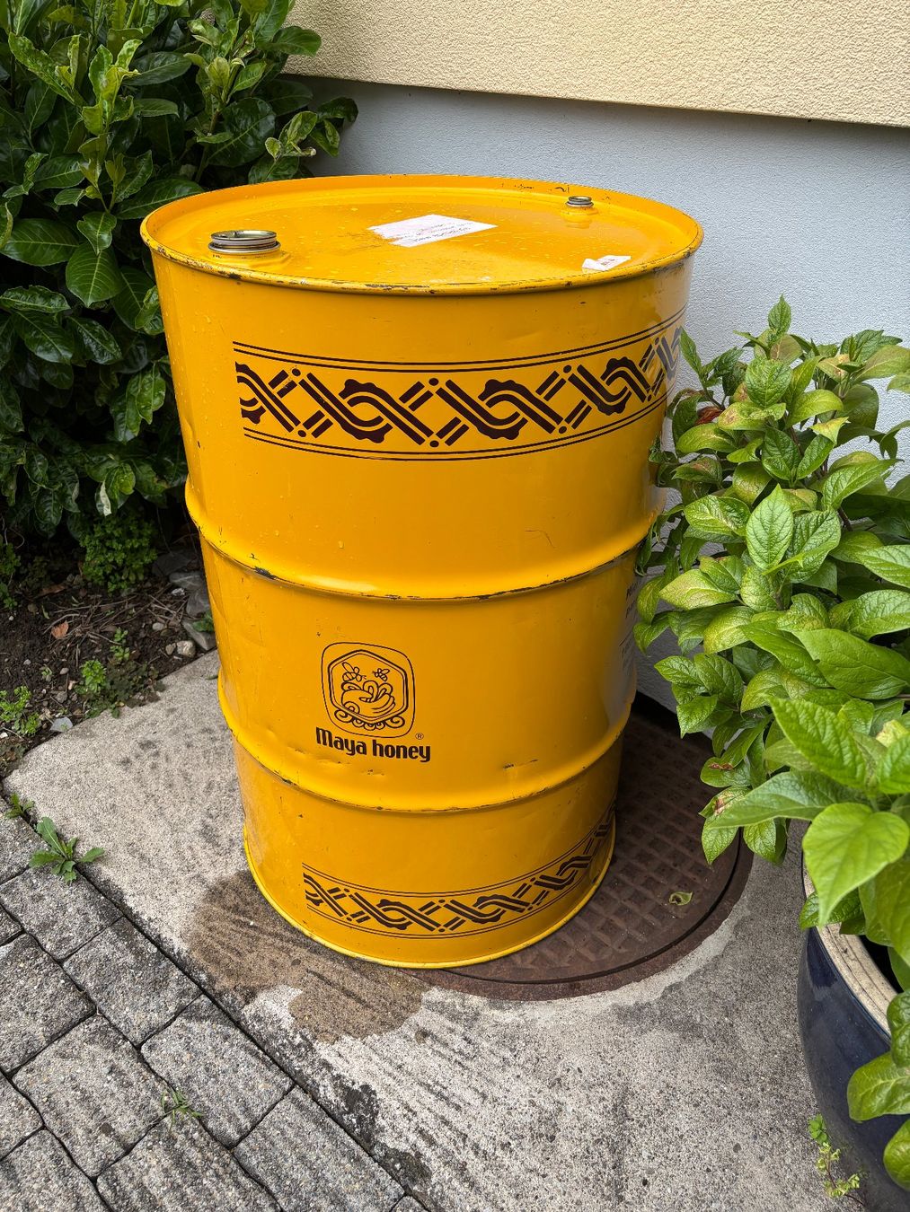 Accessori: Metallfass, Blechfass, Fass 200 l – Usato da Gossau SG venduto da Gusho 2
