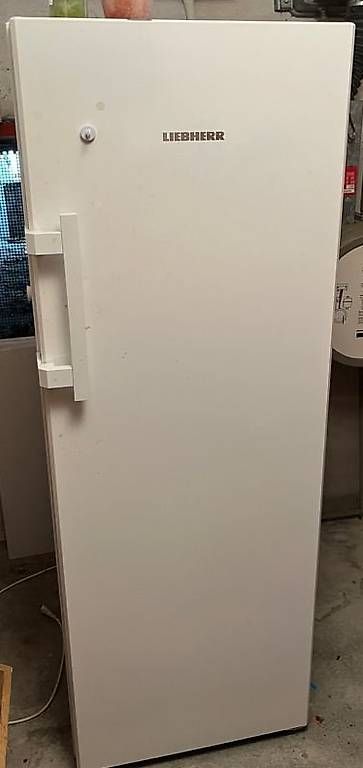 Congelatori: LiebherrGNP 3755 Premium NoFrost 232 l – Usato da Buchrain venduto da Forri75