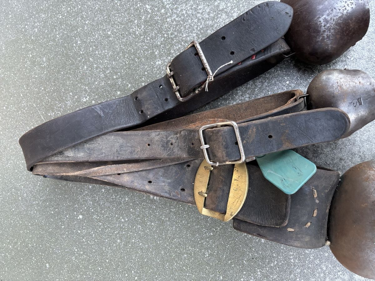 Glocken & Treicheln: 3 Varonne – Gebraucht aus Schangnau von Roseggli82 6