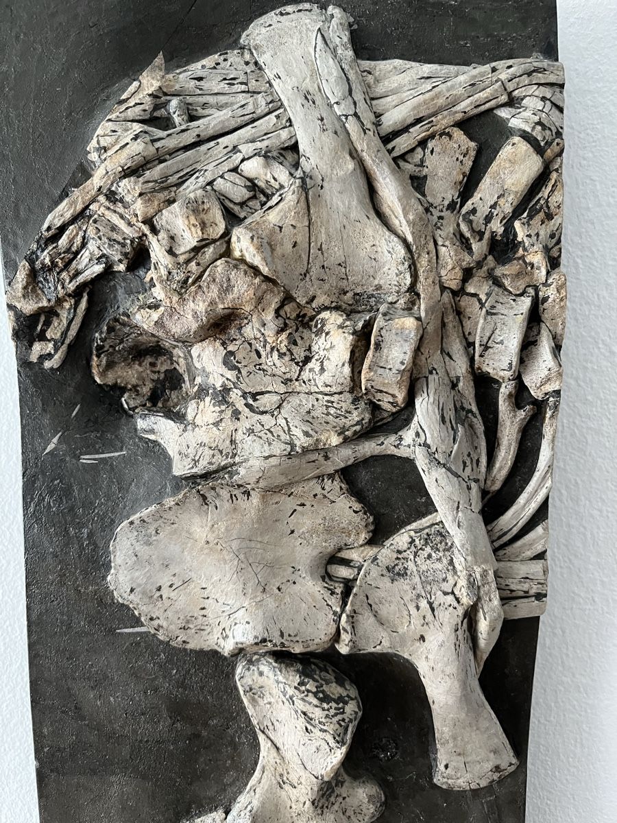Fossiles: Ichthyosaurier Fossil Holzmaden – Neuf (Voir description) à Orpund par Steinway 6