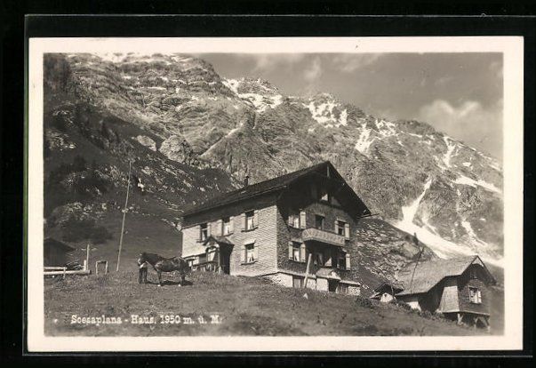 Cartoline postali: Scesaplana, Scesaplana-Haus, mit Pferd – Usato da Berlin venduto da bartko-reher