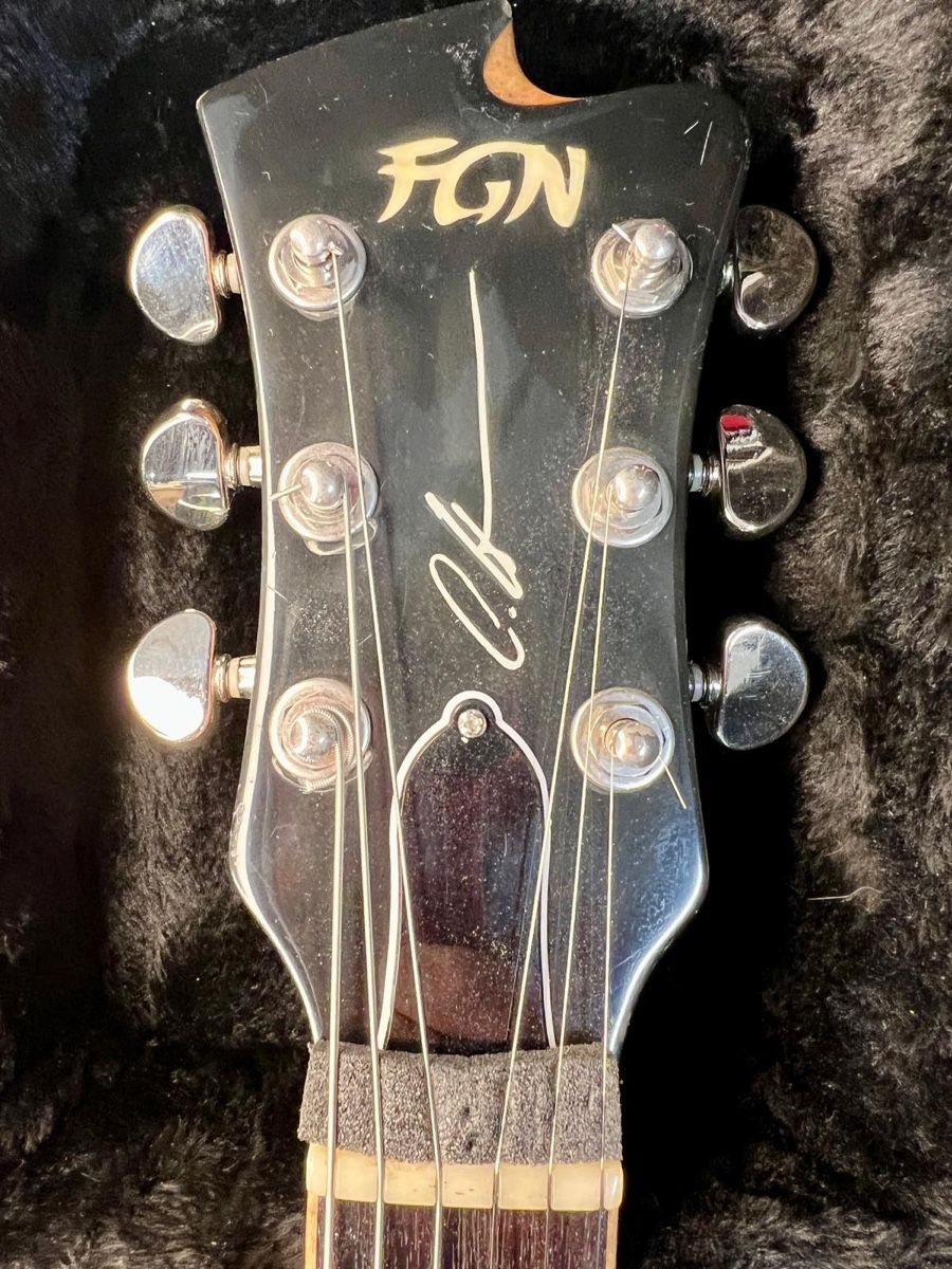 Strumenti musicali: FGN Oliver Hartmann - Super Exclusive!! – Usato da Baden venduto da raf_bomasi 4