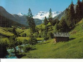 Adelboden Mühleweidli 1969