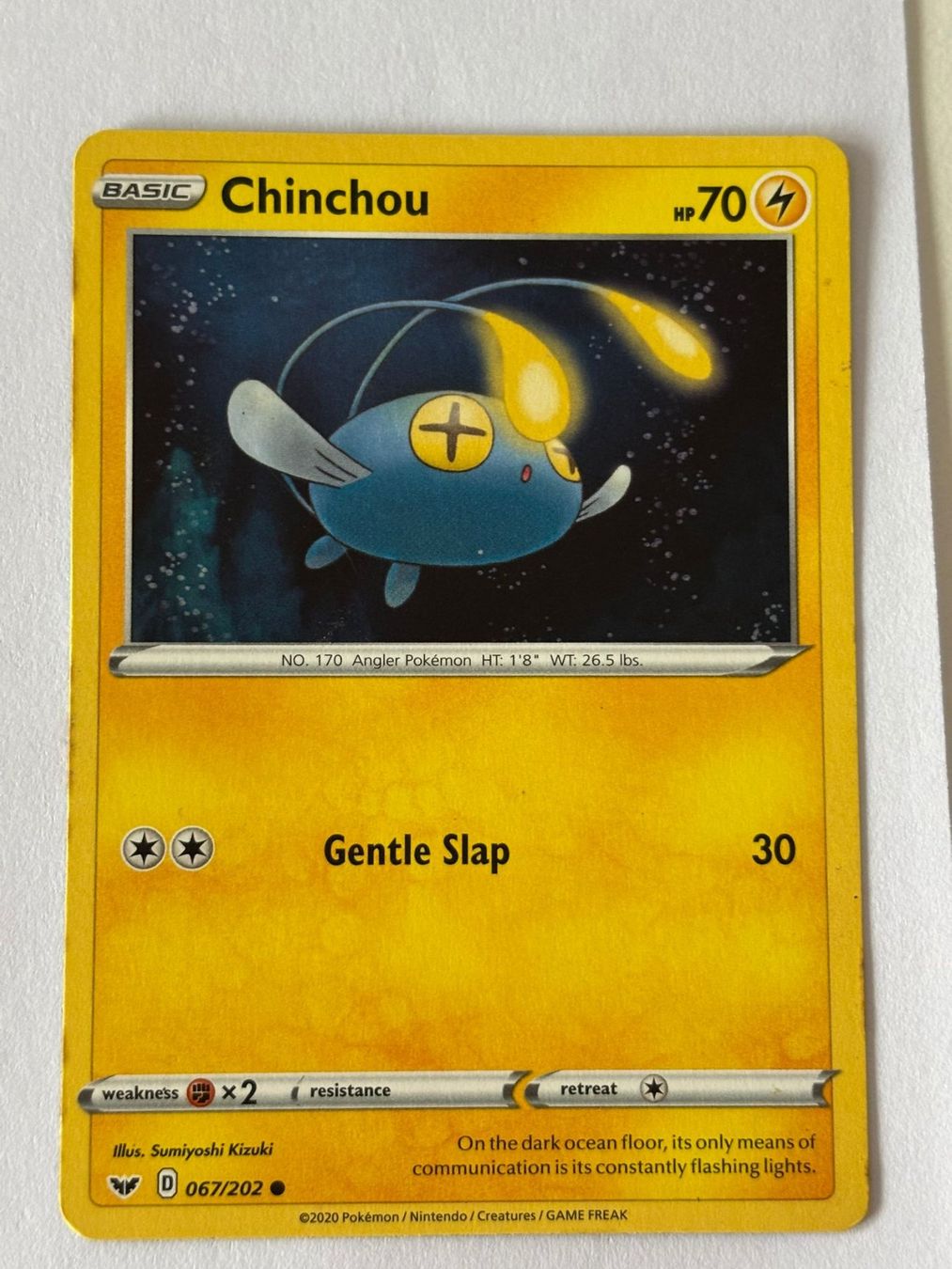 Pokémon Sammelbilder & Trading cards: Pokemon-Karte Chinchou 067/202 – Gebraucht aus Herisau von Seyashop1