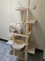 Grosser Katzenbaum in Beige (160 cm)