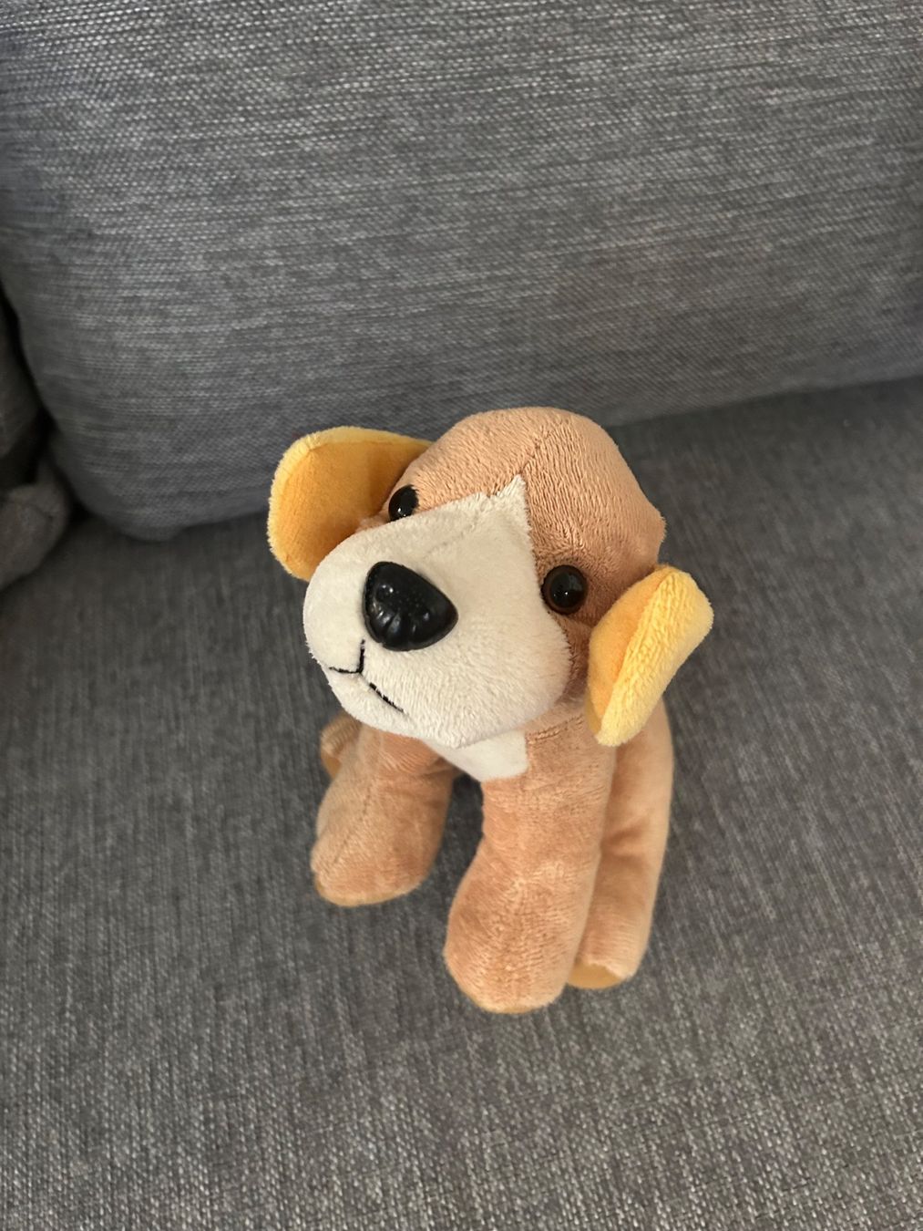 Spielzeuge: Hund Kuscheltier Spielzeug – Neu (gemäss Beschreibung) aus Wabern von belka72