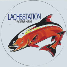 Profile image of LACHSSTATION