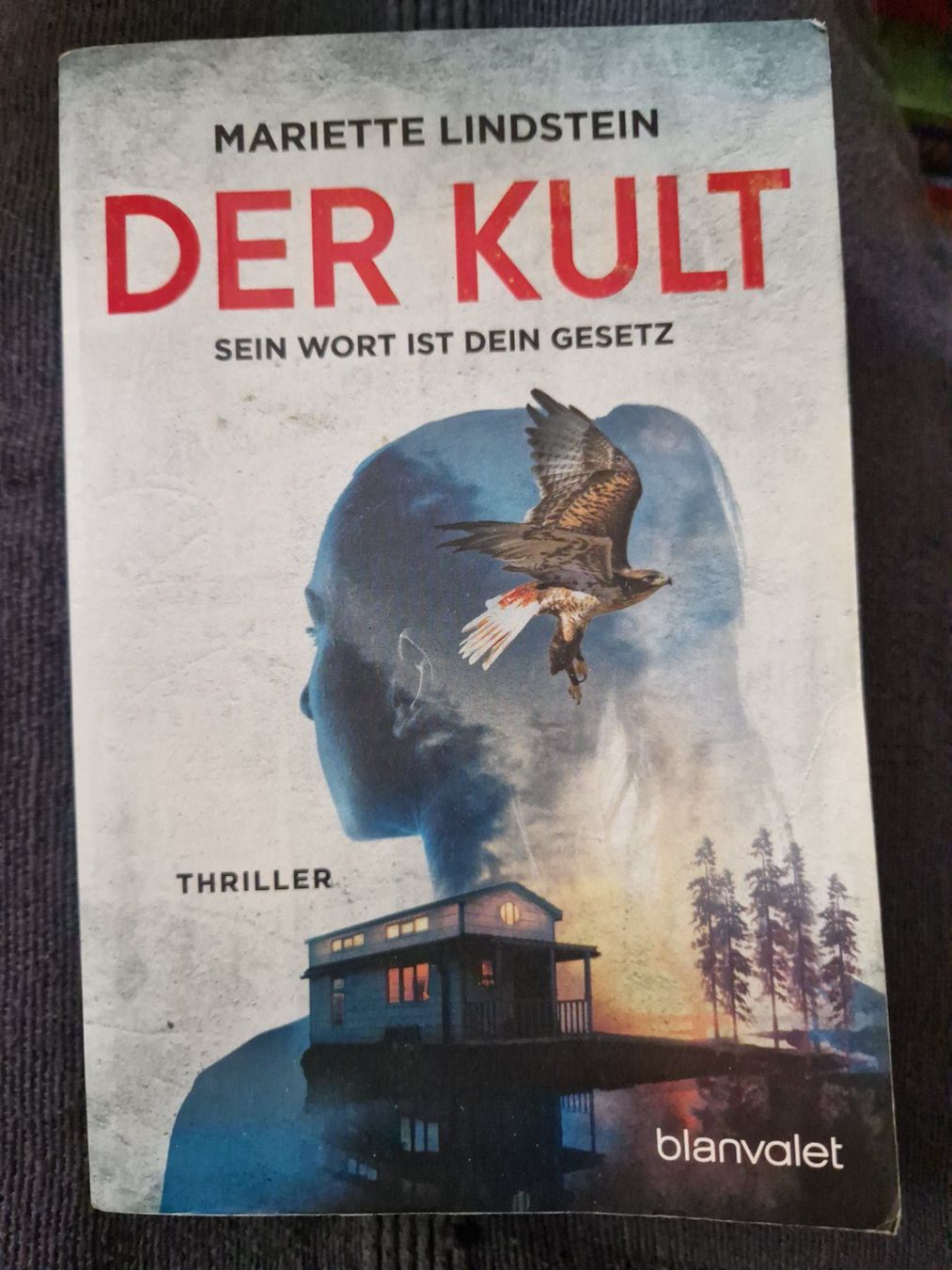 Libri: Mariette Lindstein - Der Kult – Usato da Neuhausen am Rheinfall venduto da Alchimista