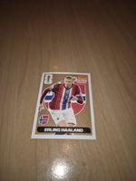 Paninisticker
