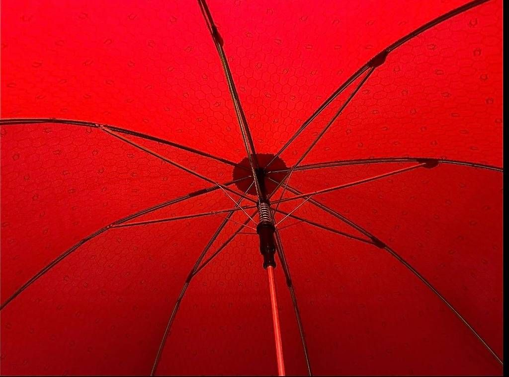Dior Ombrelli: Regenschirm Christian Dior – Usato da Rorbas venduto da Logix 4