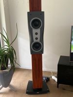 Boxen Dynaudio C2