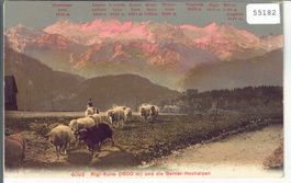 Rigi-Kulm - Schafherde - Litho