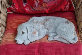 Süsser Deko-Hund aus Steinguss für Garten oder Terrasse