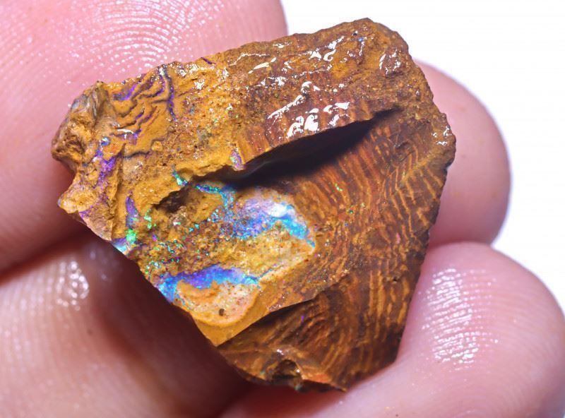 Edelsteine: Koroit Opal Roh 15.69Cts. – Neu (gemäss Beschreibung) aus Bern von Grindelwaldaus