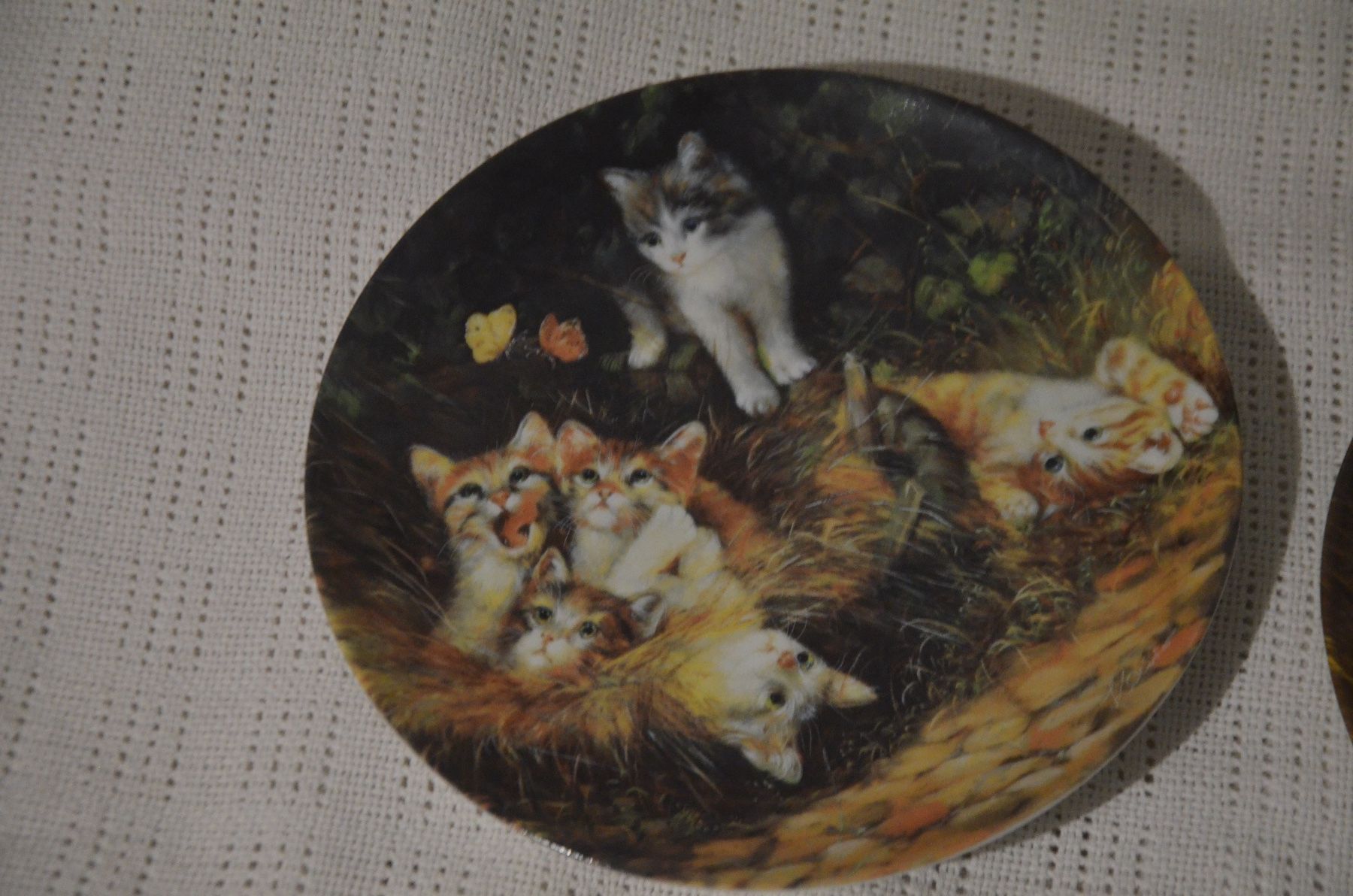 Piatti: TELLER KATZE – Usato da Chiasso venduto da Dolly015