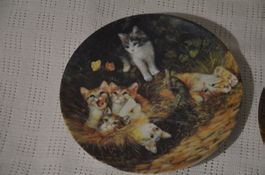 TELLER KATZE