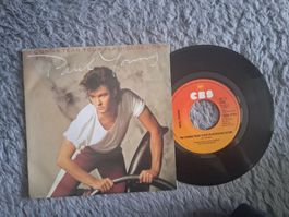 PAUL YOUNG   I'M GONNA TEAR YOUR PLAYHOUSE DOWN     7NER SIN