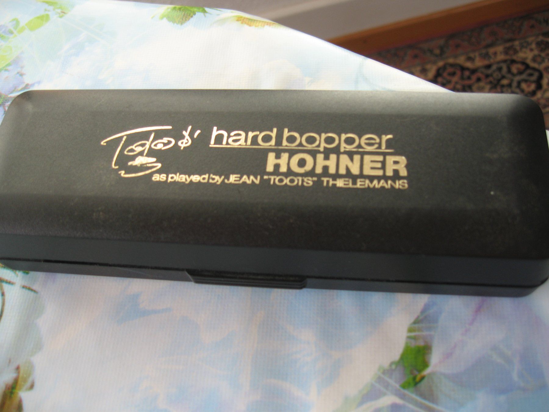 Hohner Strumenti musicali: Mundharmonika Hohner – Usato da Thun venduto da ade_h6qs 2