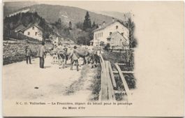 Landwirtschaft/Weidgang/Paturage 1900 Vallorbe VD