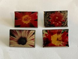 4 Pin Blumen Gartencenter Wyss