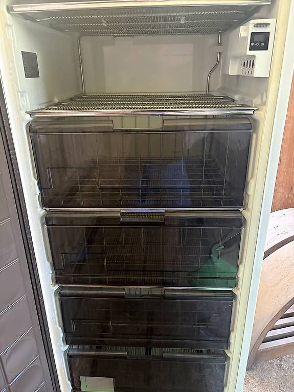 Congelatori: Gefrierschrank  – Usato da Madetswil venduto da Lano04 1