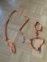 Geschirr und Leine für Katze🐈 