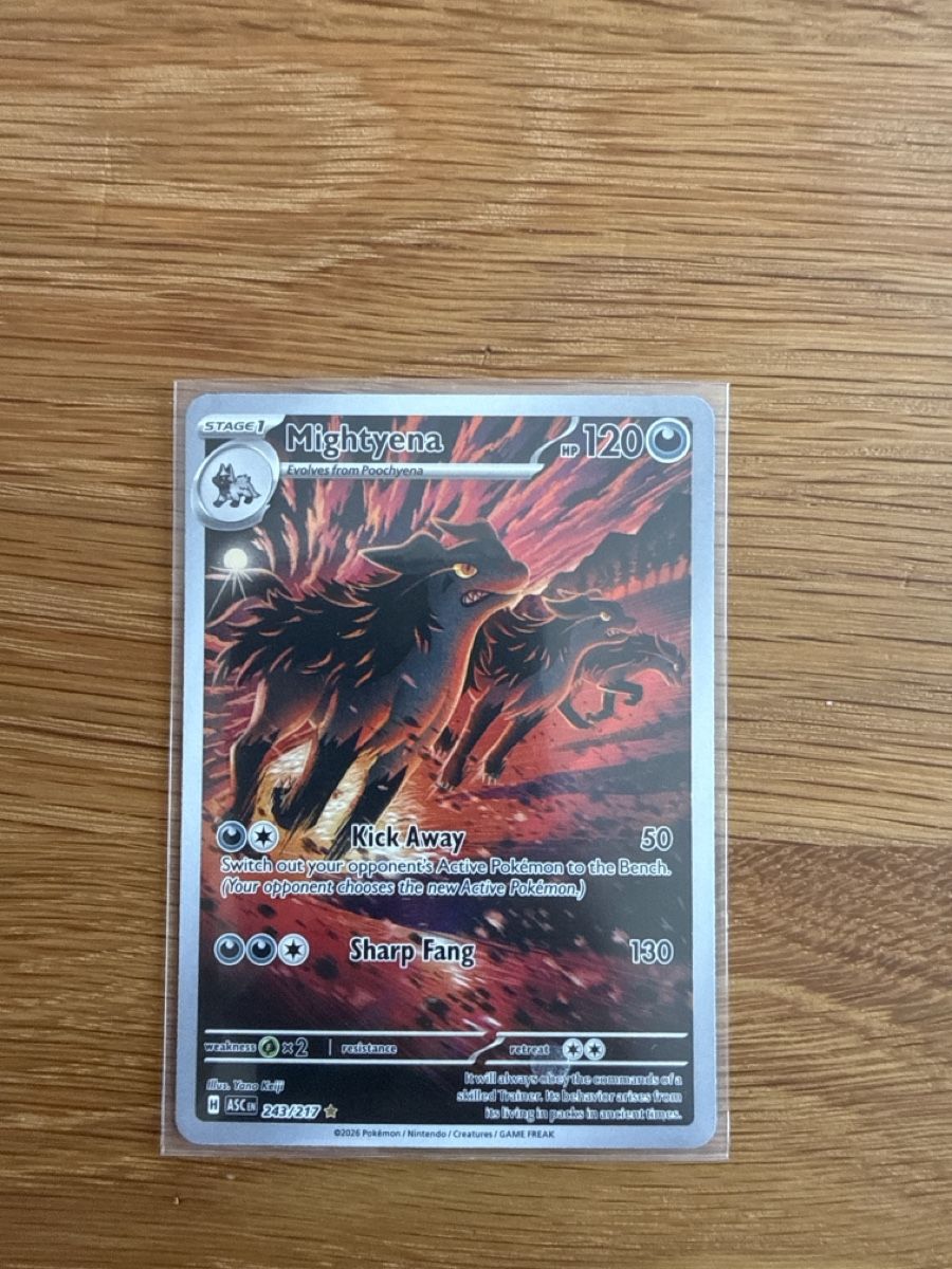 Pokémon Carte collezionabili: Pokemon - Mightyena 243/217 - EN – Nuovo e nell'imballaggio originale da Rüti ZH venduto da rin_7yn7