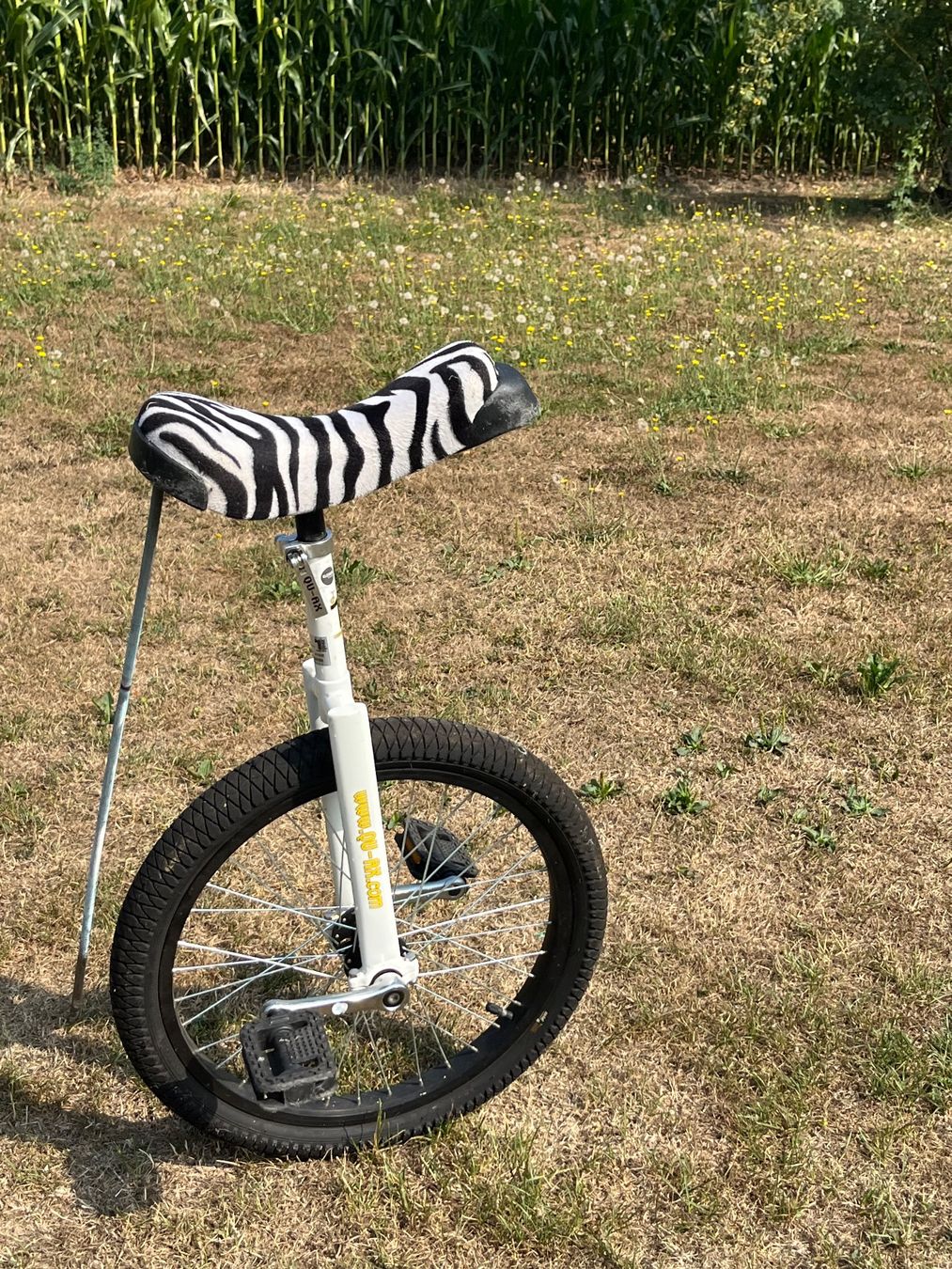 Qu-Ax Velos: Qu-AX Luxus Einrad – Gebraucht aus Allmendingen b. BE von juair 1