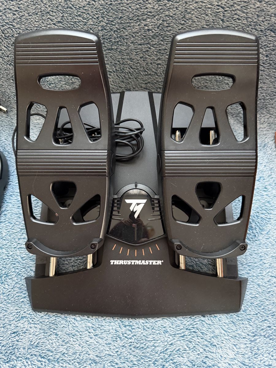 Thrustmaster Controller: Thrustmaster TFRP FlightRuder Pedals + Joystick/Dual Throttl – Nuovo (secondo la descrizione) da Murgenthal venduto da Tina_4055
