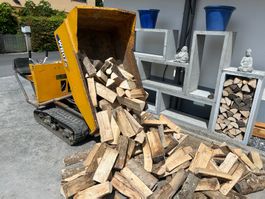 Yamaguchi WB07α Raupendumper, Jahr 2008, top Angebot