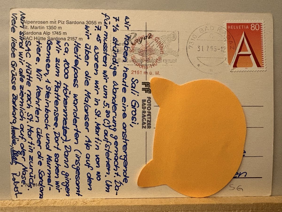 Cartoline postali: AK von Im Calfeisental – Usato da Rümlang venduto da Kartenpost1 1